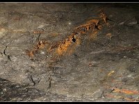 2012-06-11 009-border  Begin van stalagmieten ?